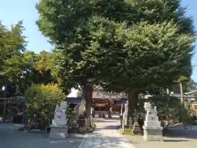 亀ケ池八幡宮(神奈川県)