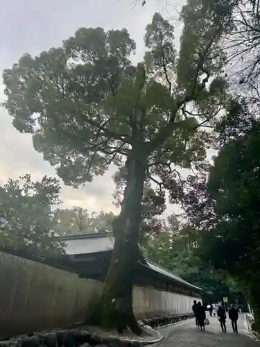 伊勢神宮外宮（豊受大神宮）(三重県)