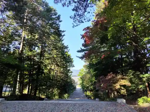 上川神社の景色