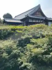 東福禅寺（東福寺）(京都府)