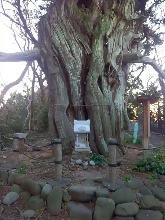 大瀬神社の自然
