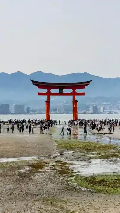 厳島神社(広島県)