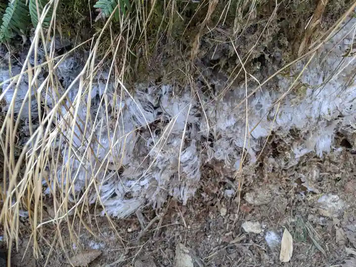恵那神社奥宮本社(長野県)