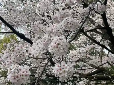 嚴島神社 (京都御苑)(京都府)
