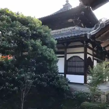 鹿王院の本殿・本堂
