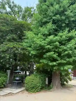 三会寺の{uncategorized: "未分類", other: "その他", undefined: "問題あり", building: "その他建物", grave: "お墓", sacred_gate: "鳥居", guardian: "狛犬", statue: "像", buddha: "仏像", history: "歴史", nature: "自然", garden: "庭園", animal: "動物", pagoda: "塔", temizu: "手水舎", mountain_gate: "山門・神門", sanctuary: "本殿・本堂", subordinate: "末社・摂社", art: "芸術", scenery: "景色", jizo: "地蔵", ema: "絵馬", goshuin: "御朱印", omikuji: "おみくじ", items: "授与品その他", amulet: "お守り", goshuincho: "御朱印帳", eats: "食事", festival: "お祭り", votive_dance: "神楽", shichigosan: "七五三参", wedding: "結婚式", experience: "体験その他", initially: "初詣", around: "周辺", anti_infection: "感染症対策"}