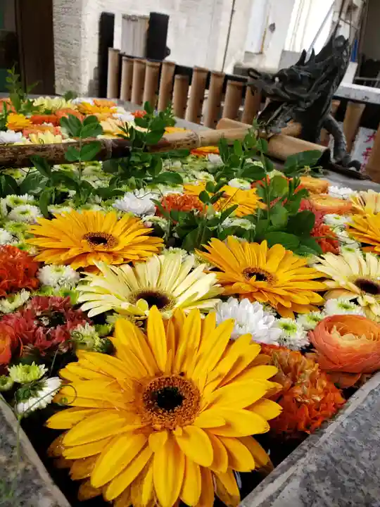 高円寺氷川神社(東京都)