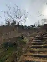 金比羅神社の自然