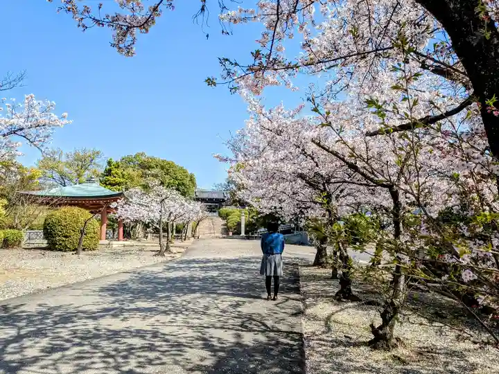 覚王山 日泰寺の自然