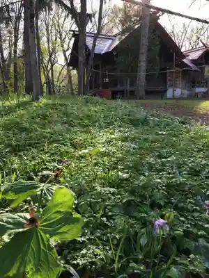 浦臼神社の自然