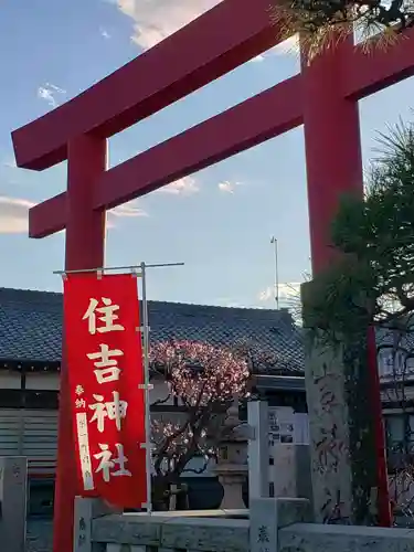 住吉神社の鳥居