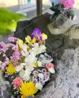 伊達神社の手水舎