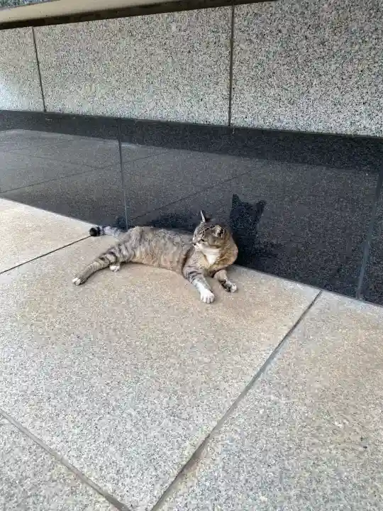 白金氷川神社(東京都)
