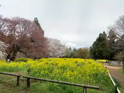 小鷹神社(千葉県)