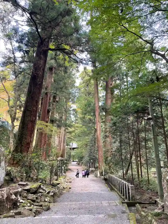 最乗寺(道了尊)の周辺