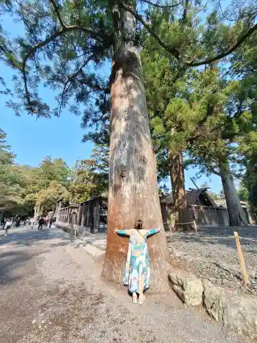 伊勢神宮外宮（豊受大神宮）の{uncategorized: "未分類", other: "その他", undefined: "問題あり", building: "その他建物", grave: "お墓", sacred_gate: "鳥居", guardian: "狛犬", statue: "像", buddha: "仏像", history: "歴史", nature: "自然", garden: "庭園", animal: "動物", pagoda: "塔", temizu: "手水舎", mountain_gate: "山門・神門", sanctuary: "本殿・本堂", subordinate: "末社・摂社", art: "芸術", scenery: "景色", jizo: "地蔵", ema: "絵馬", goshuin: "御朱印", omikuji: "おみくじ", items: "授与品その他", amulet: "お守り", goshuincho: "御朱印帳", eats: "食事", festival: "お祭り", votive_dance: "神楽", shichigosan: "七五三参", wedding: "結婚式", experience: "体験その他", initially: "初詣", around: "周辺", anti_infection: "感染症対策"}