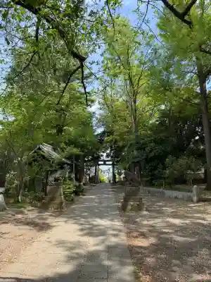 篠原八幡神社(神奈川県)