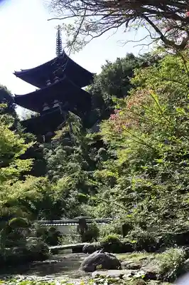 當麻寺中之坊(奈良県)