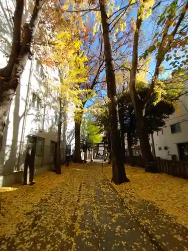 荻窪白山神社(東京都)