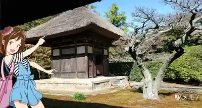 長壽寺(長寿寺)の本殿・本堂