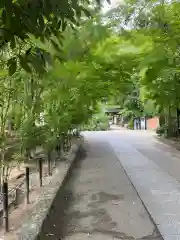 宇治上神社の自然