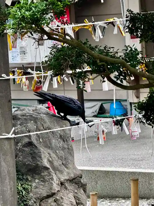 愛宕神社(宮城県)