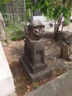 櫻岡大神宮の狛犬