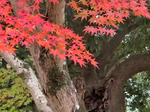 龍田大社(奈良県)