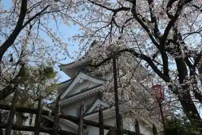 白髭神社(岐阜県)