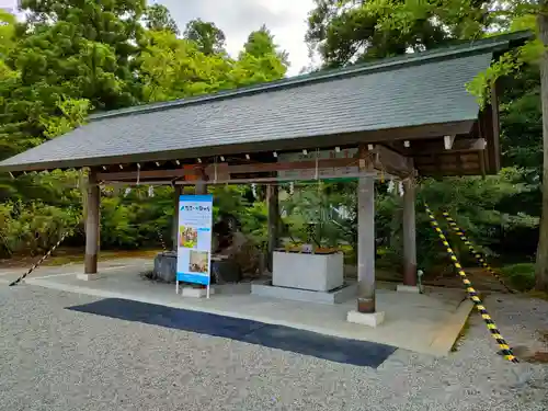 越中一宮 髙瀬神社の手水