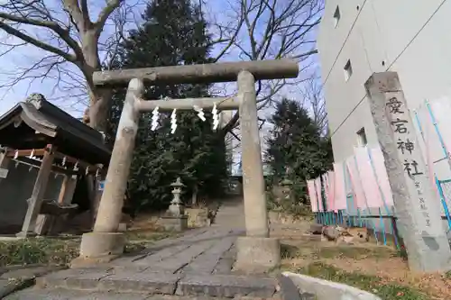 愛宕神社の鳥居