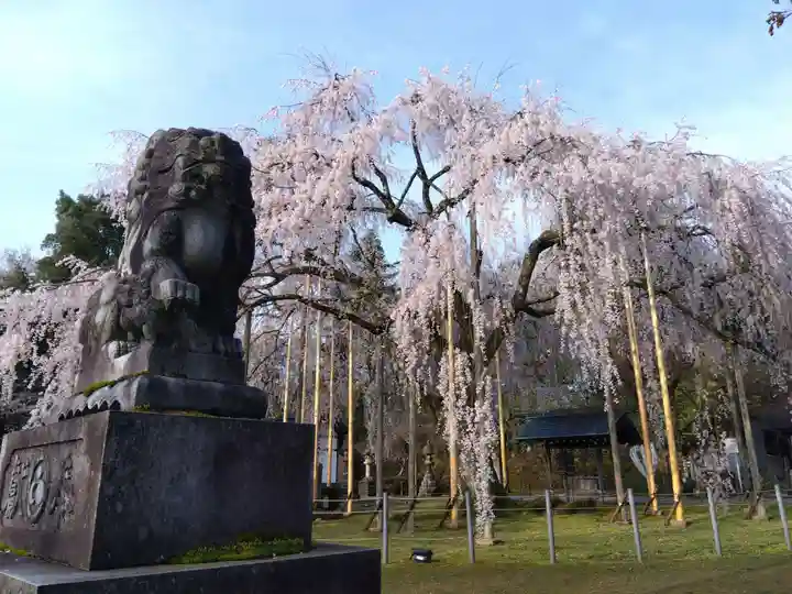 足羽神社(福井県)