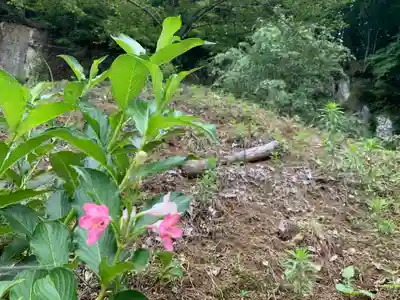 八幡神社(岩窪切岸城址)(福島県)