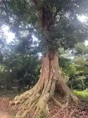 雷神社(千葉県)