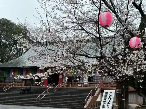 喜多院(埼玉県)