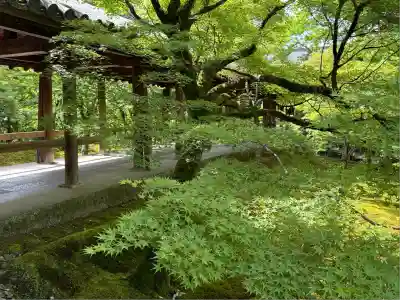 東福禅寺(東福寺)(京都府)
