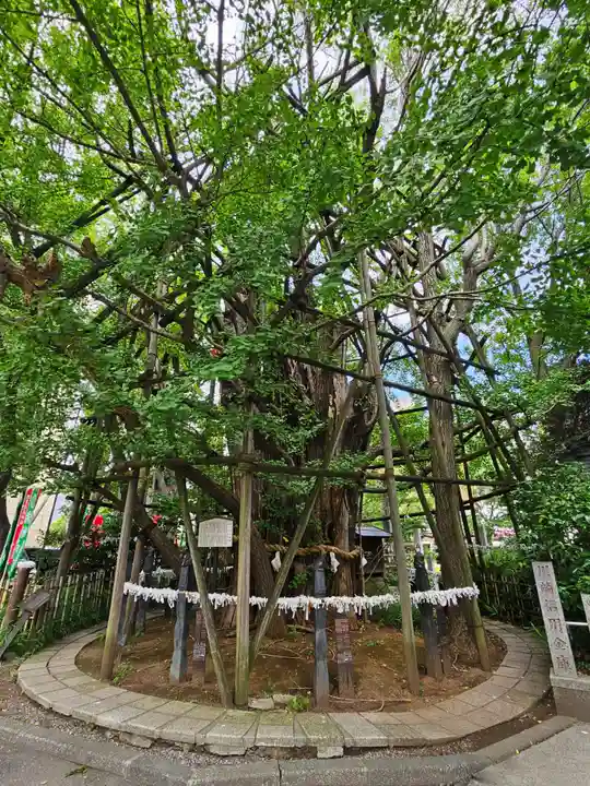 稲毛神社(神奈川県)