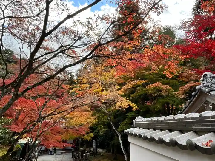 神峯山寺(大阪府)