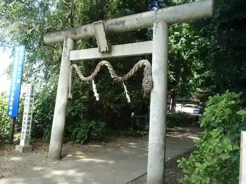 下野 星宮神社の鳥居