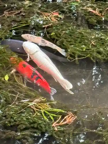 赤城神社(三夜沢町)(群馬県)