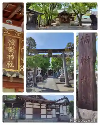 橘樹神社(神奈川県)