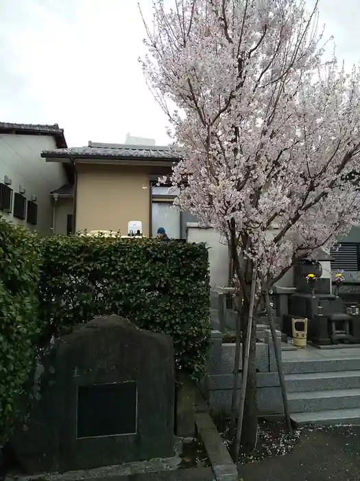 多聞院の建物その他