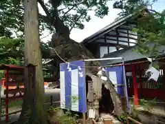 生島足島神社の自然