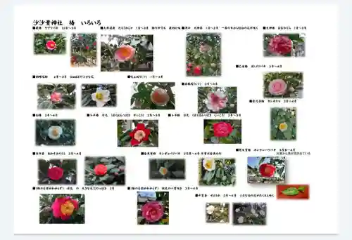 沙沙貴神社(滋賀県)