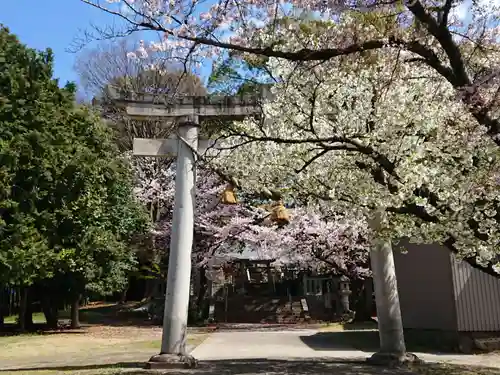 大平八幡宮の鳥居