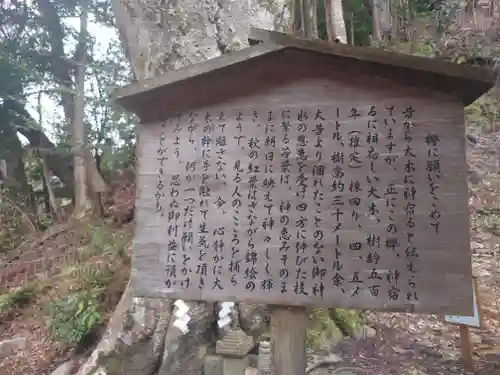 丹生川上神社（下社）(奈良県)