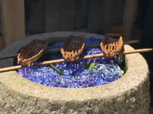 正寿院の手水舎