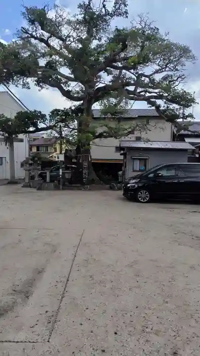 櫟谷七野神社(京都府)