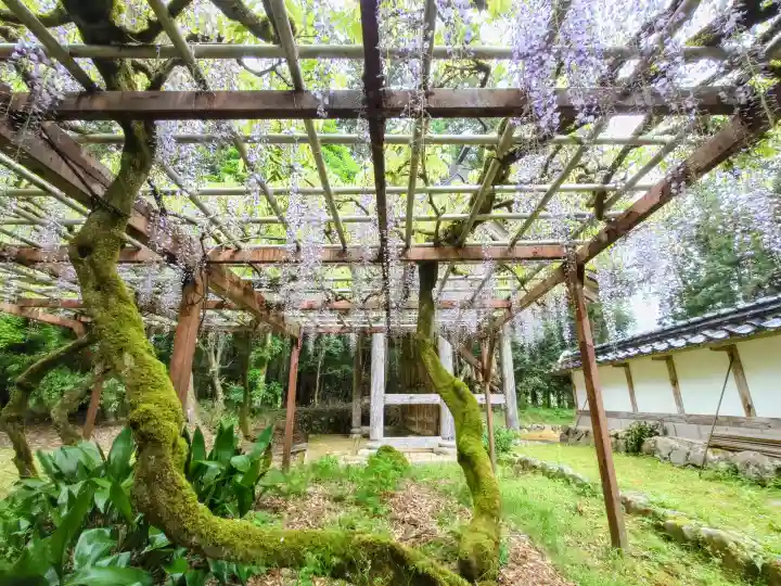 粟鹿神社の{uncategorized: "未分類", other: "その他", undefined: "問題あり", building: "その他建物", grave: "お墓", sacred_gate: "鳥居", guardian: "狛犬", statue: "像", buddha: "仏像", history: "歴史", nature: "自然", garden: "庭園", animal: "動物", pagoda: "塔", temizu: "手水舎", mountain_gate: "山門・神門", sanctuary: "本殿・本堂", subordinate: "末社・摂社", art: "芸術", scenery: "景色", jizo: "地蔵", ema: "絵馬", goshuin: "御朱印", omikuji: "おみくじ", items: "授与品その他", amulet: "お守り", goshuincho: "御朱印帳", eats: "食事", festival: "お祭り", votive_dance: "神楽", shichigosan: "七五三参", wedding: "結婚式", experience: "体験その他", initially: "初詣", around: "周辺", anti_infection: "感染症対策"}