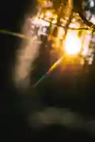 成蓮寺(島根県)